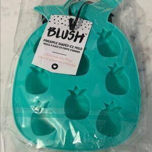 Blush Teal Pineapple Ice Tray